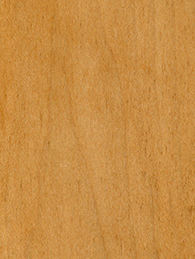 Honey Stained beech Wood