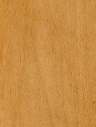 Honey Stained Wood