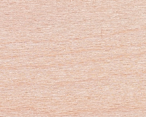 Hard Maple Wood Texture